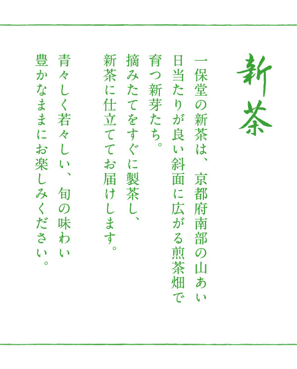 【5月23日発売！】新茶 小缶箱(95g)