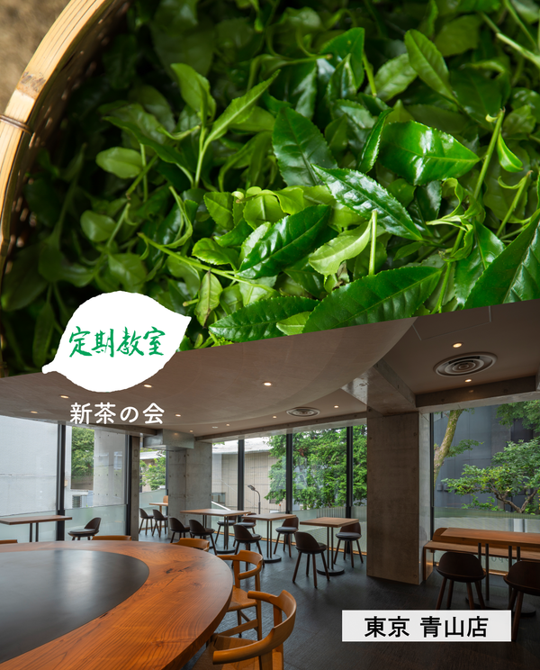 【青山店】6/8(月)お茶の淹れ方教室「新茶2026を楽しむ」参加チケット